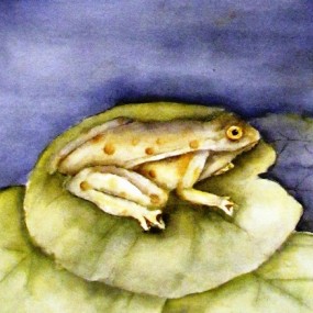 Watercolour of a frog resting on a water lily by Jackie Coldrey