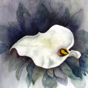 Watercolour of a Cala Lily by Jackie Coldrey
