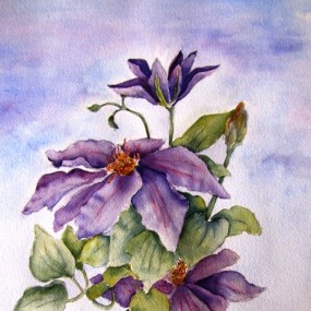 Climbing to the Sun, Clematis - Jackie Coldrey