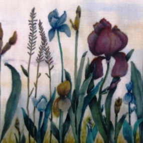 Irises by Jackie Coldrey