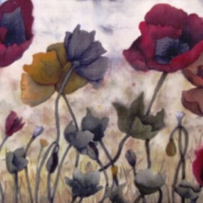 Poppies by Jackie Coldrey