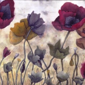 Poppies - Jackie Coldrey