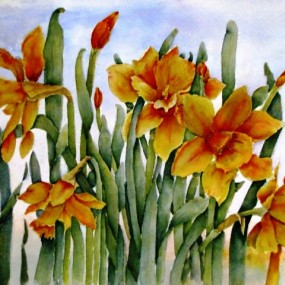 Spring Fling, Daffodils - Jackie Coldrey
