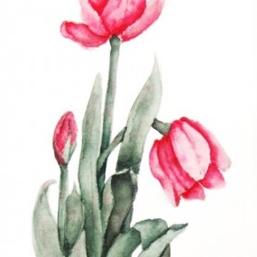 Spring Flowers, Tulips - Jackie Coldrey