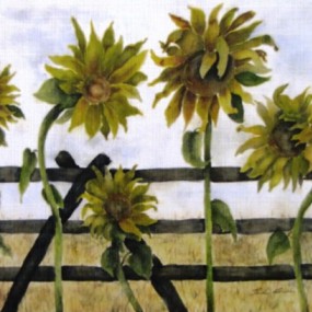 Sunflowers by Jackie Coldrey