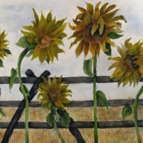 Sunflowers - Jackie Coldrey