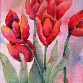 Tulips Abound - Jackie Coldrey
